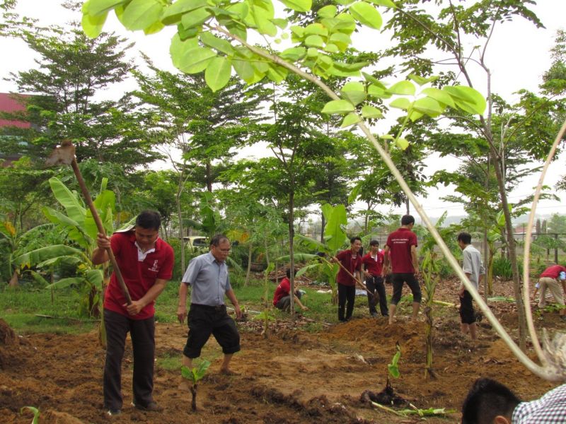 Một số hình ảnh trong ngày hội trồng cây DNTU