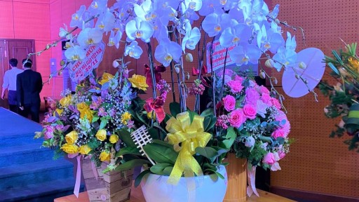 Những bông hoa tươi thắm ngày Nhà giáo Việt Nam 20-11: Ngàn đóa hoa - Triệu lời tri ân